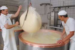 So wird Käse gemacht - Sennerei an der Allgäuer Käsestrasse